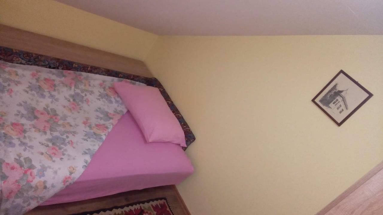 Putnicka Kuca Kod Dragane Hotel Bajina Basta Eksteriør billede